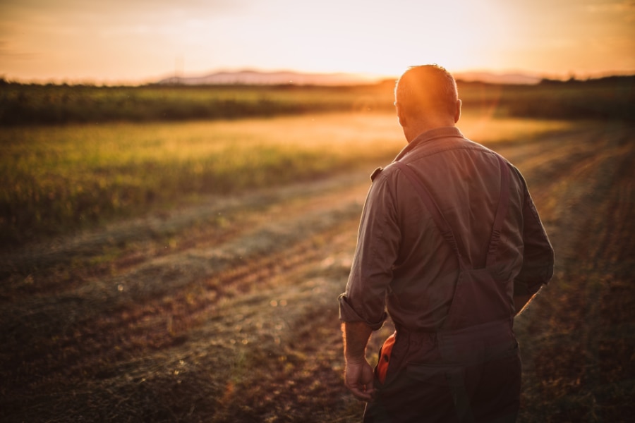 Farmer looking at sunset