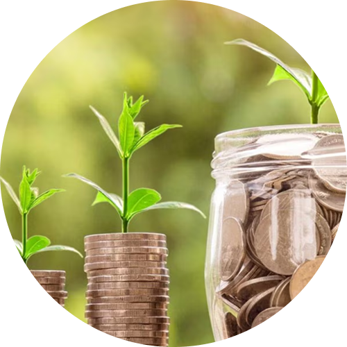 SMSF cash products