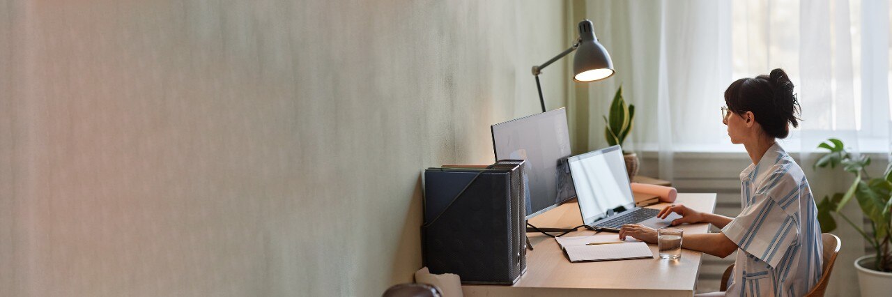 lady on the laptop at home